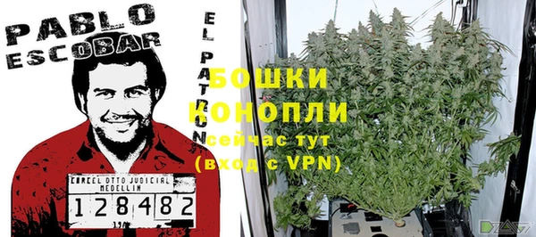 мдпв Россошь