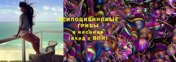 МДПВ Протвино