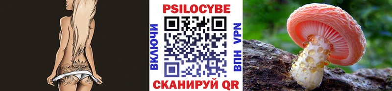 кракен как войти  даркнет формула  Псилоцибиновые грибы мухоморы  продажа наркотиков  Хилок 